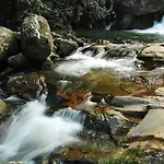 Casa Da Floresta Entre Paraty E Ubatuba
