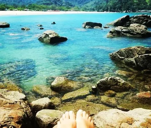 Casa Da Floresta Entre Paraty E Ubatuba