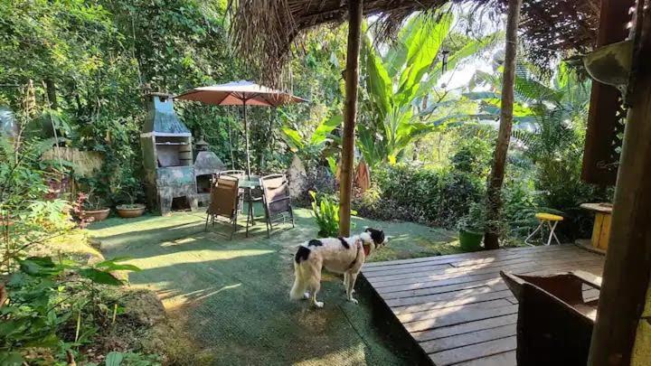 Casa Da Floresta Entre Paraty E Holiday home