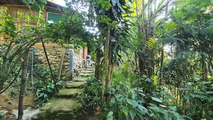 Casa Da Floresta Entre Paraty E Holiday home